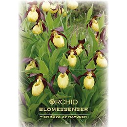 Broschyr Orchid Blomessenser