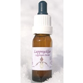 Lappnycklar 10ml